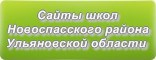 Сайты школ Новоспасского района Ульяновской области