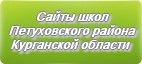 Сайты школ Петуховского района Курганской области